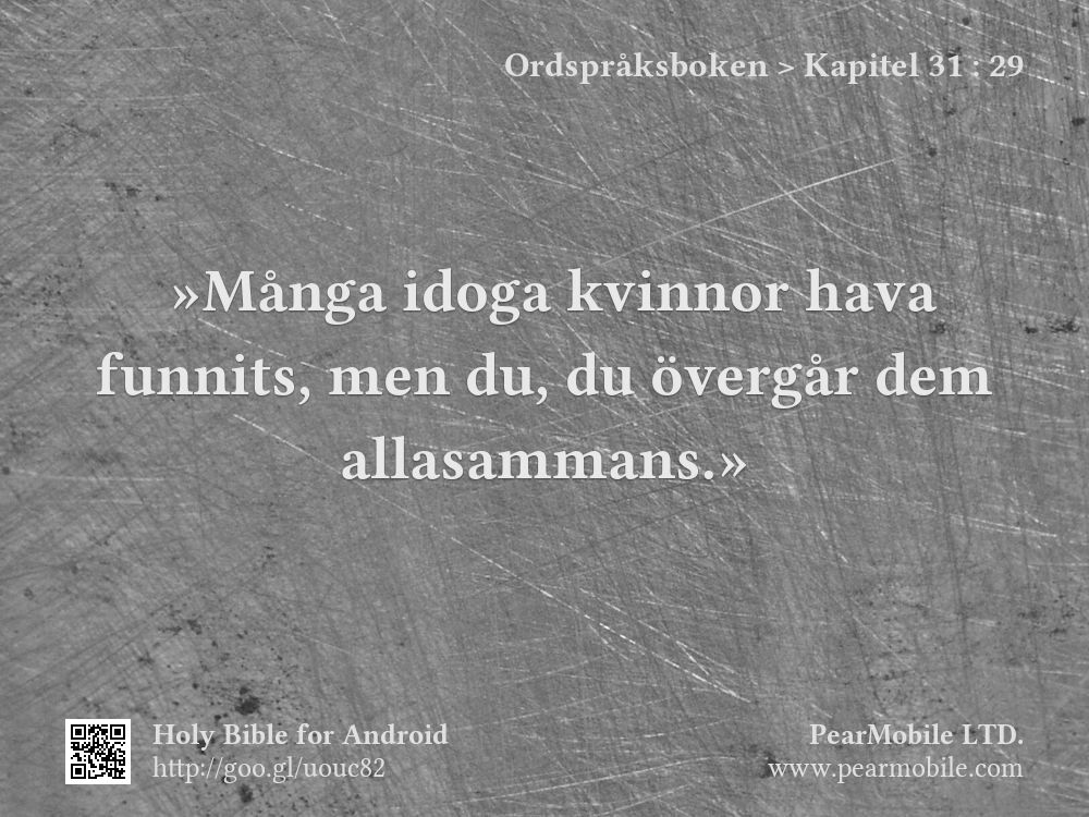 Ordspråksboken, Kapitel 31:29